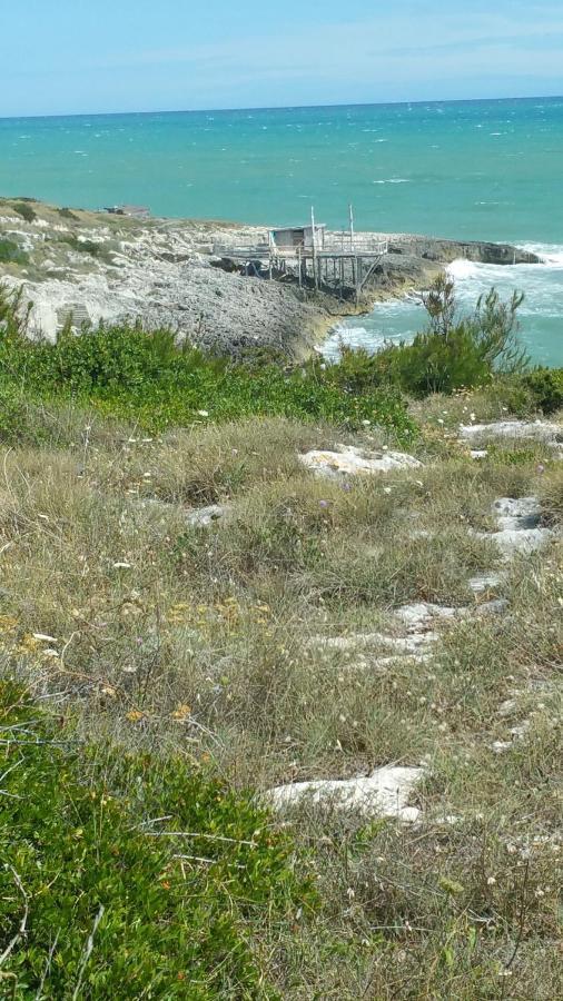 La Dimora Dei Pescatori Villa Vieste Exterior foto