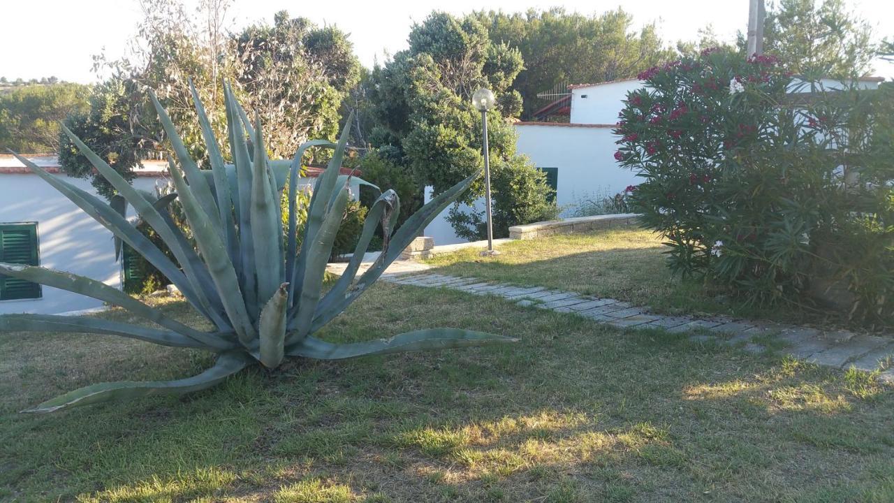 La Dimora Dei Pescatori Villa Vieste Exterior foto